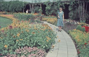 Buschkrugpark 1953