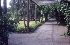 Buschkrugpark 1958